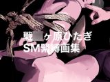 戦〇ヶ原ひたぎSM緊縛画集