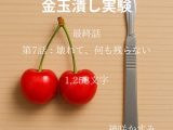 金玉潰し実験/最終話 第7話:壊れて、何も残らない