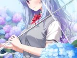 【特典付き限定版】ダウニャーさんと飼い主くん