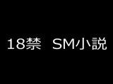 SM小説(2) 狙われた女子高生・新見結衣 上巻 可憐なる十○歳の愛奴編